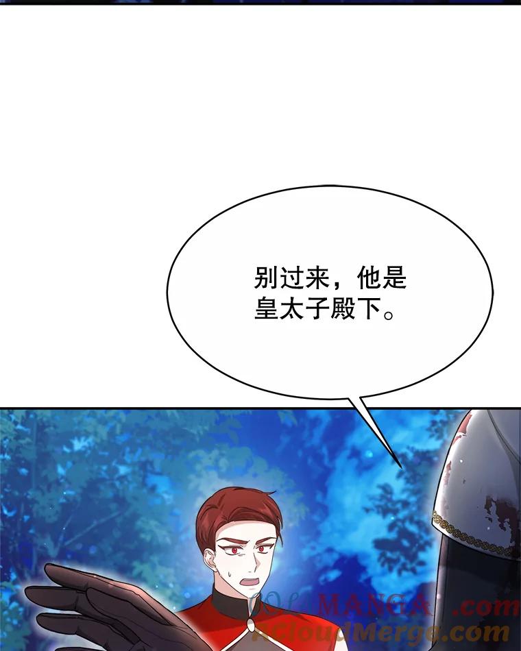 《小说男主竟是我前夫》47.皇太子的阴谋 第77页