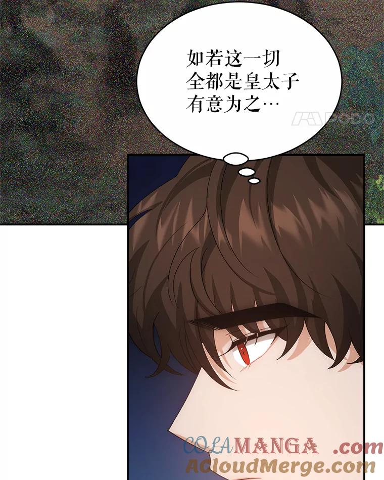 《小说男主竟是我前夫》47.皇太子的阴谋 第25页
