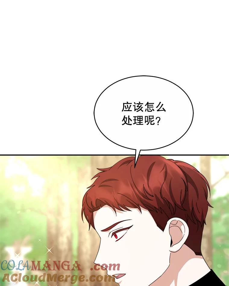 《小说男主竟是我前夫》47.皇太子的阴谋 第33页