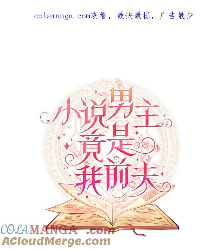 《小说男主竟是我前夫》50.放手（本季完） 第1页