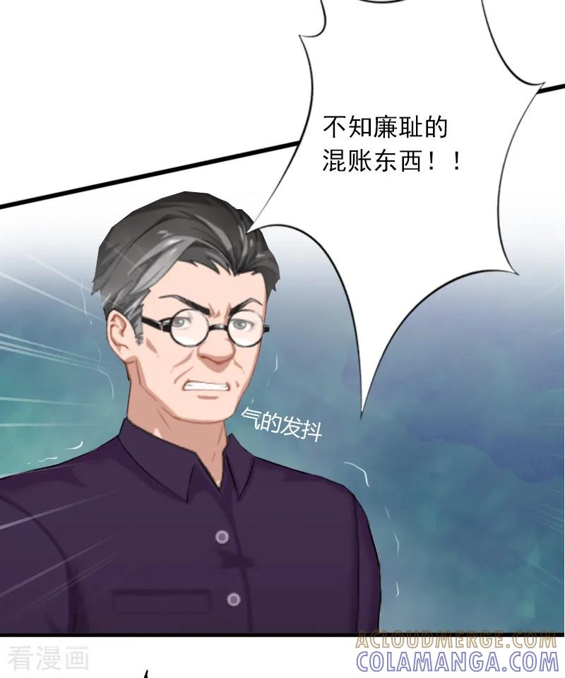 《掠爱成婚：墨少的心尖宠》第2话 陆家风波 第29页