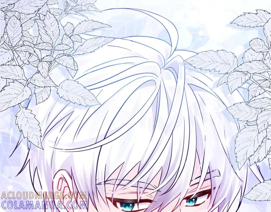 《伯爵大人夜未眠》第1话 要被失忆的伯爵少爷拐跑了？ 第257页