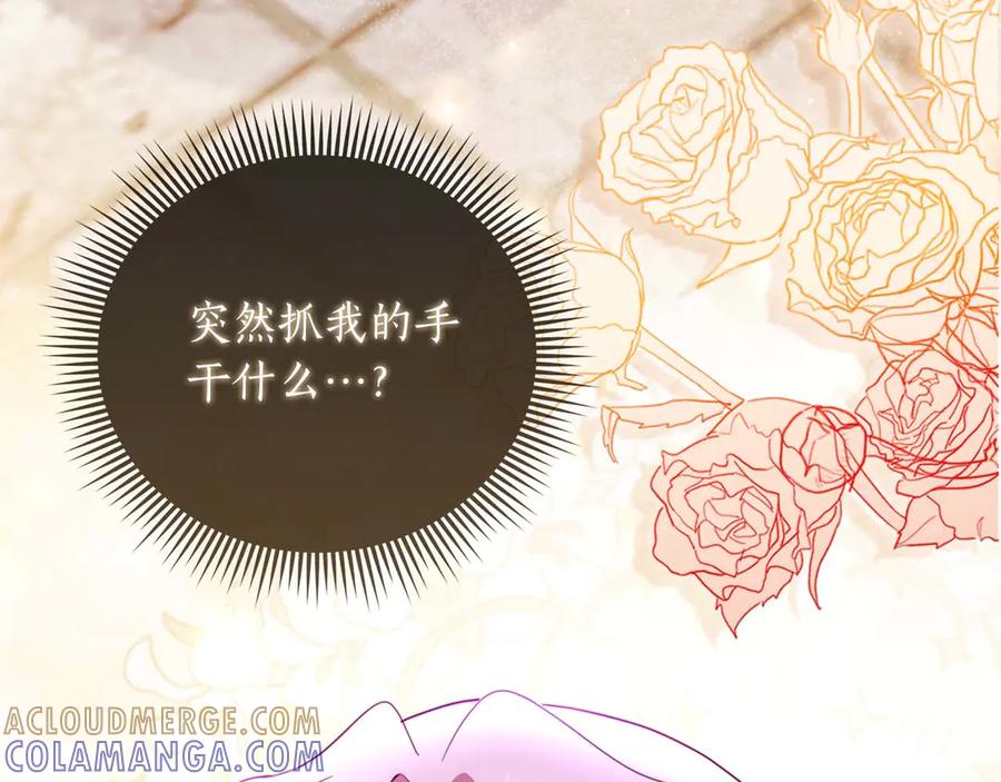 《伯爵大人夜未眠》第1话 要被失忆的伯爵少爷拐跑了？ 第245页