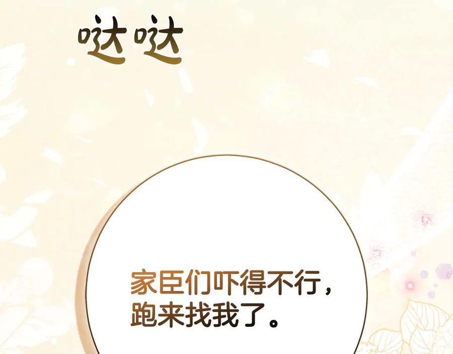 《伯爵大人夜未眠》第1话 要被失忆的伯爵少爷拐跑了？ 第160页