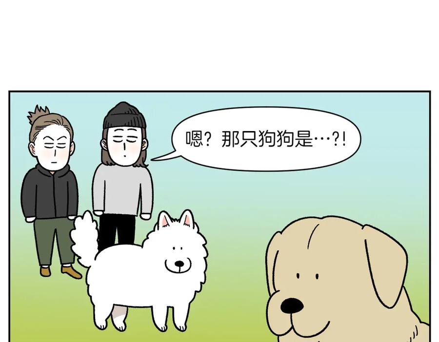 《我的狗子叫棉花》第51话 没有狗狗就互不相识的人们 第36页