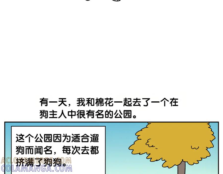 《我的狗子叫棉花》第51话 没有狗狗就互不相识的人们 第34页