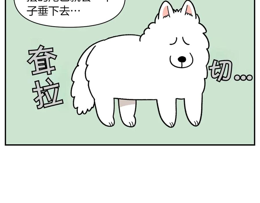 《我的狗子叫棉花》第60话 禁止单词-散步 第48页