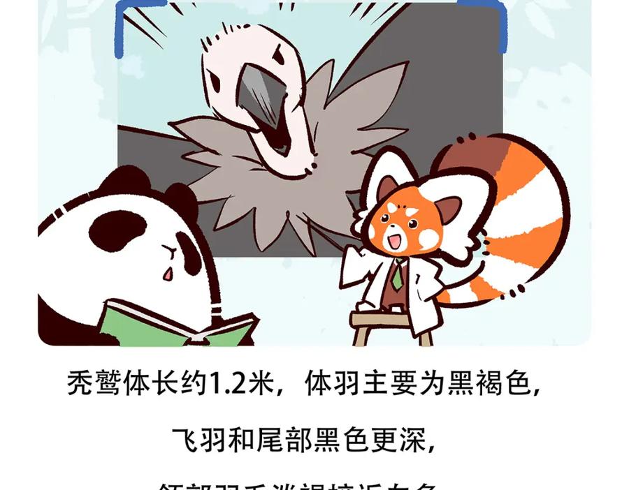 《胖达x胖达》第84话 第20页