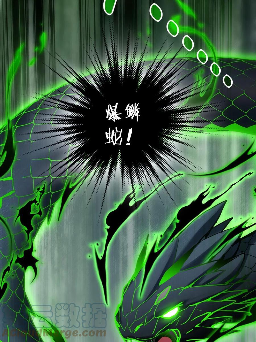 我只想安静地打游戏 11 传奇伴生宠 第25页
