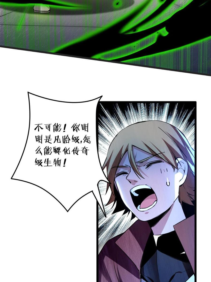我只想安静地打游戏 11 传奇伴生宠 第27页