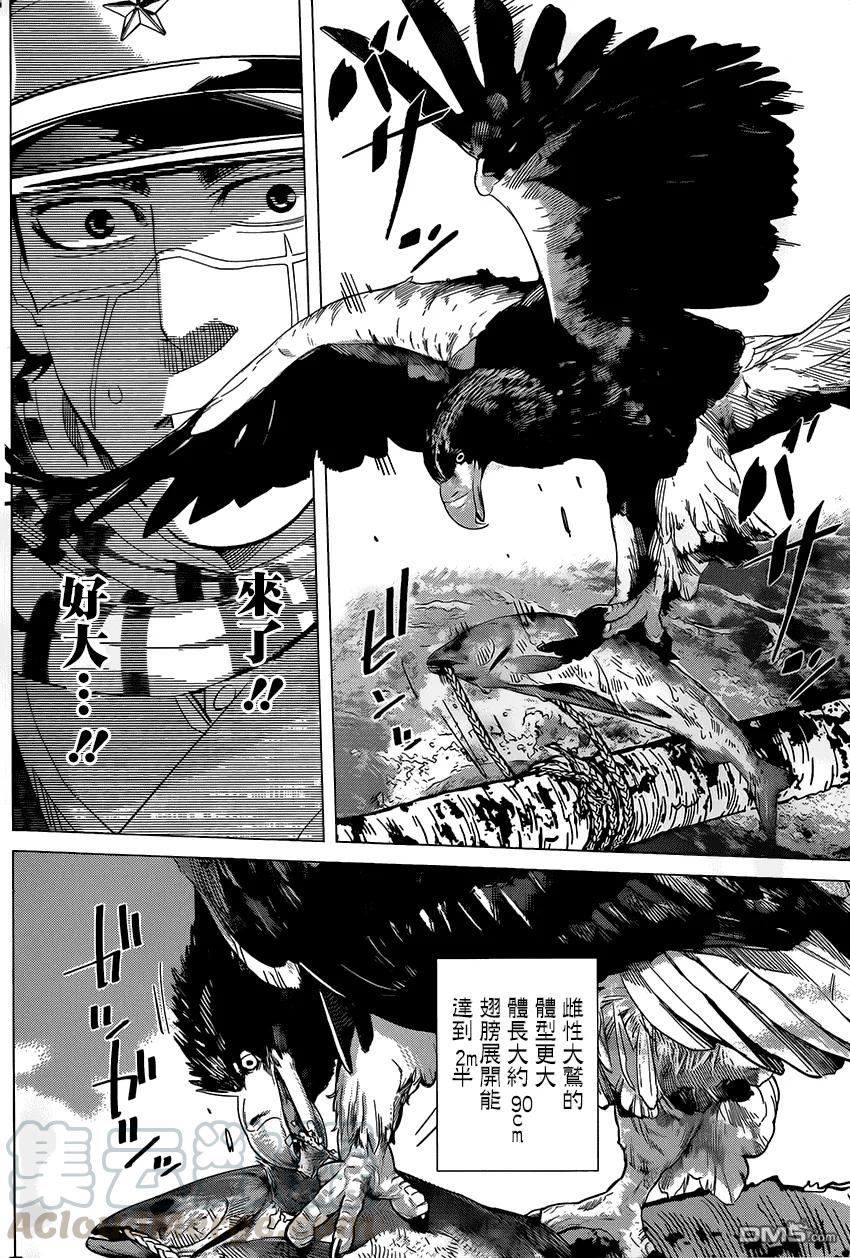 《黄金神威》32 第32话 惊奇！谜之大鸟 第9页