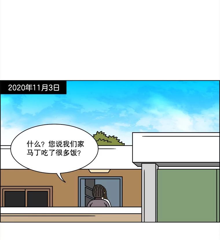 《双甲路边摊》239.米饭（12） 第51页