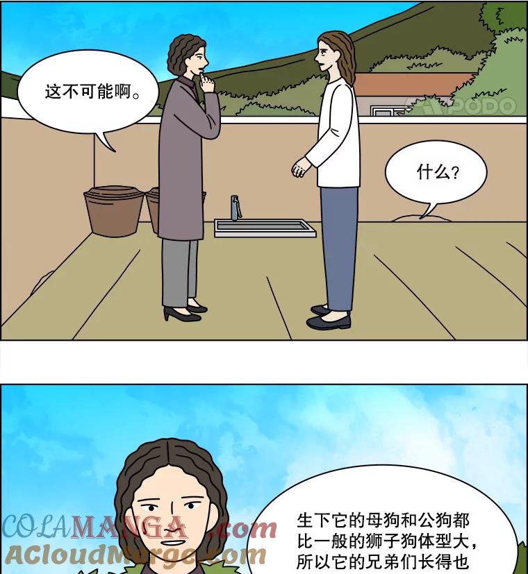 《双甲路边摊》239.米饭（12） 第52页