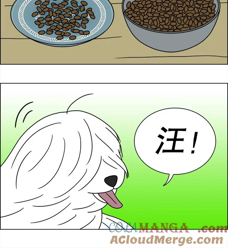 《双甲路边摊》239.米饭（12） 第13页