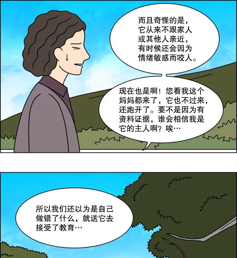 《双甲路边摊》239.米饭（12） 第54页