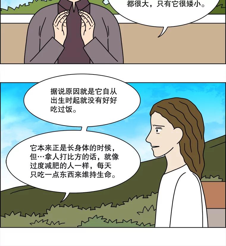 《双甲路边摊》239.米饭（12） 第53页