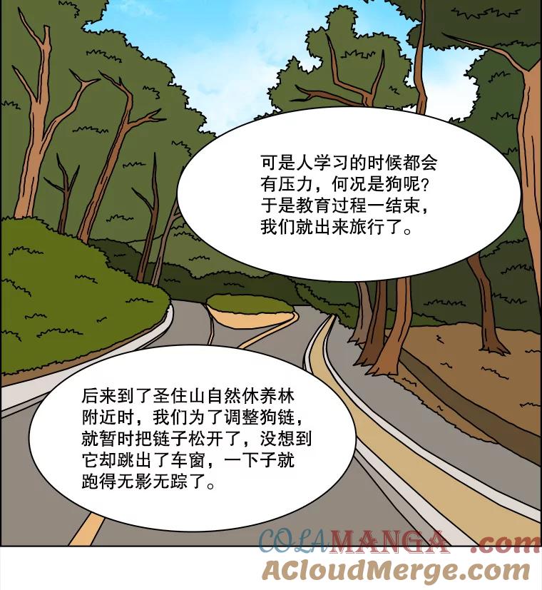 《双甲路边摊》239.米饭（12） 第55页