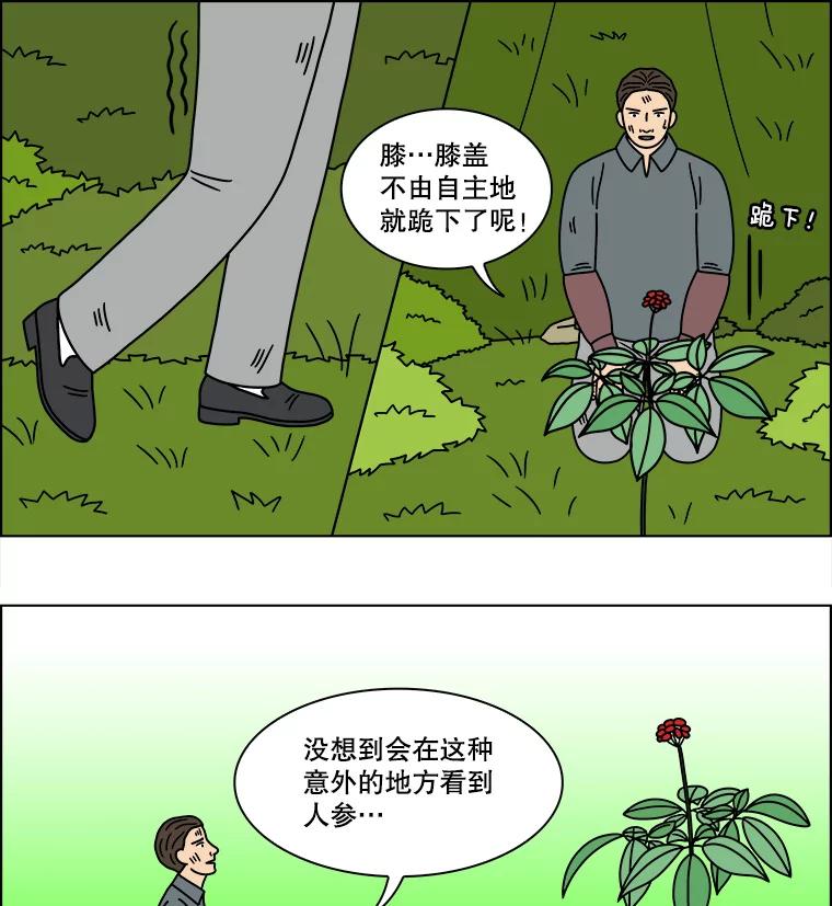 《双甲路边摊》240.米饭（13） 第42页