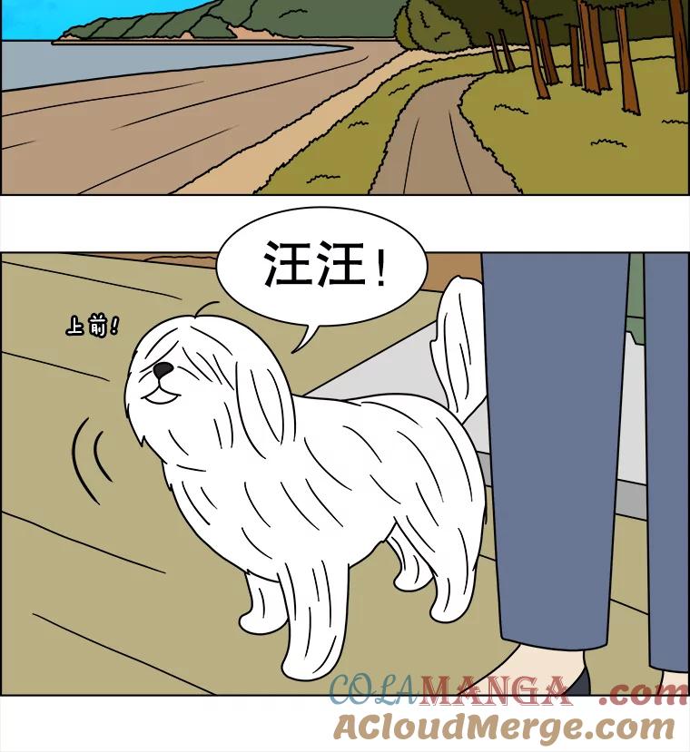 《双甲路边摊》240.米饭（13） 第13页