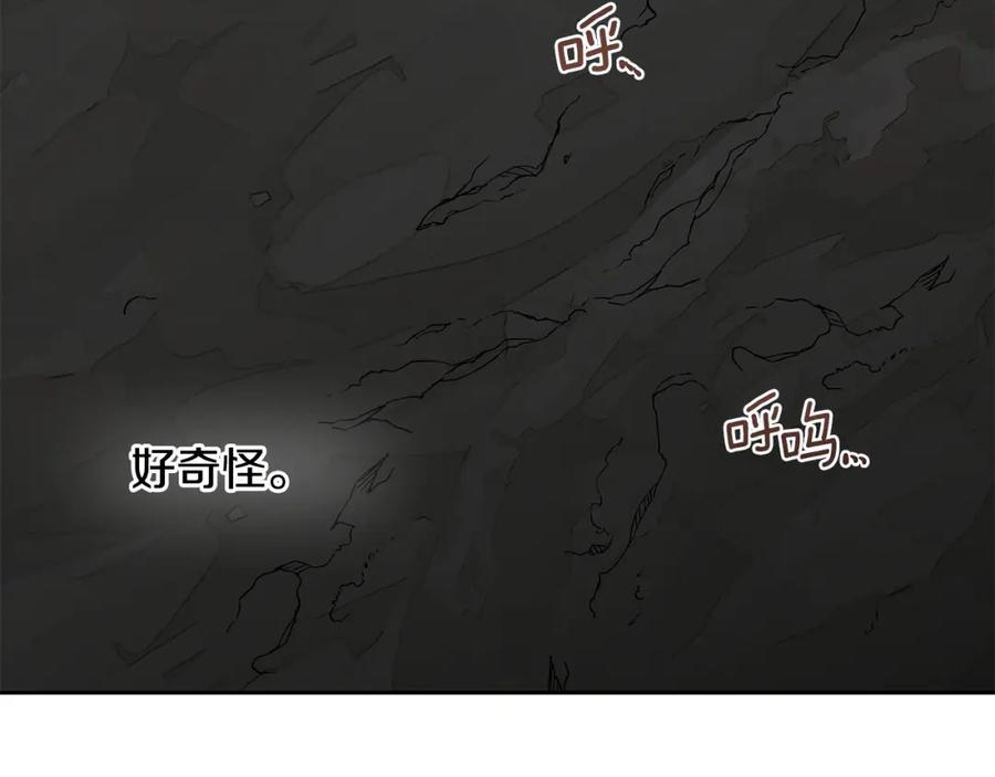 《黄金树林》第13话 不祥的预感 第44页