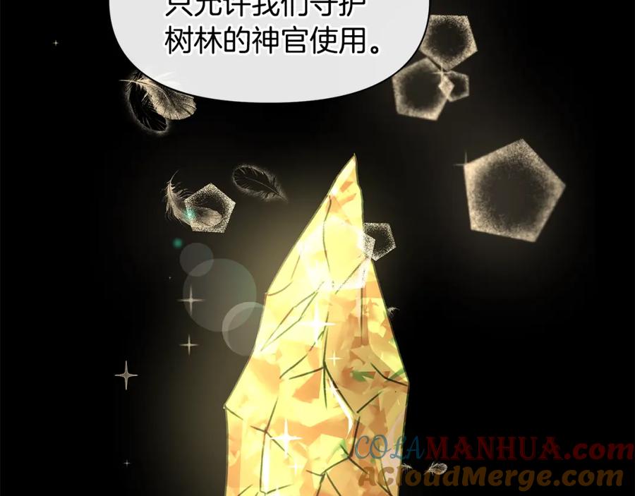 《黄金树林》第19话 美好的妄想 第101页