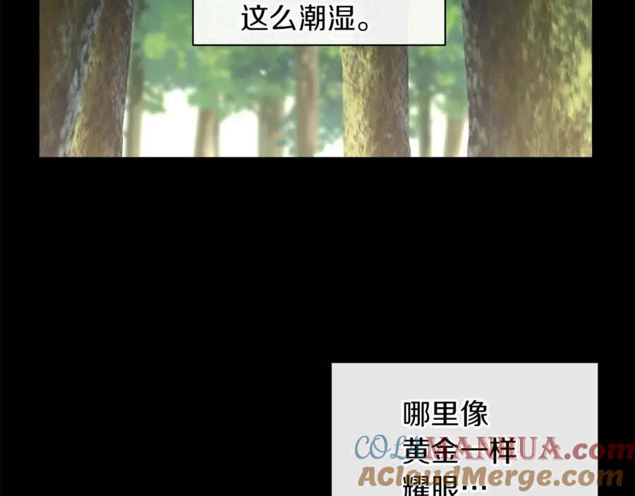 《黄金树林》第20话 如实相告 第185页