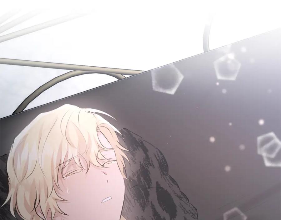 《黄金树林》第54话 彼此相认 第4页