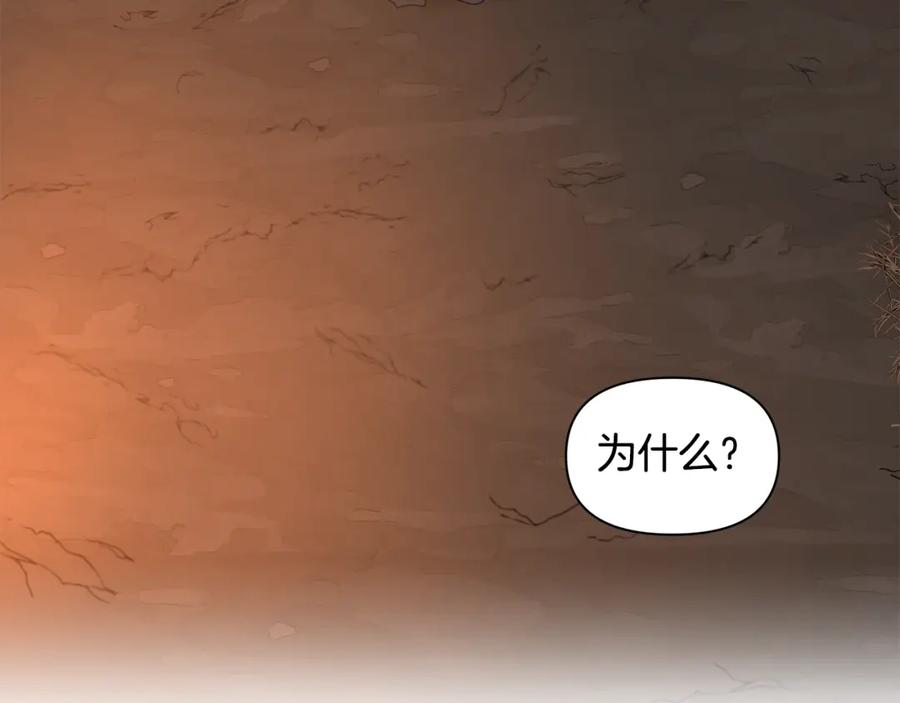 《黄金树林》第5话 想报恩吗 第3页