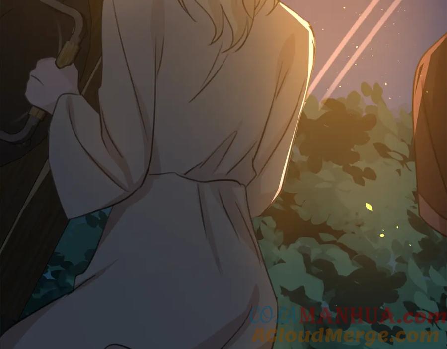 《黄金树林》第75话 你还是来了 第217页