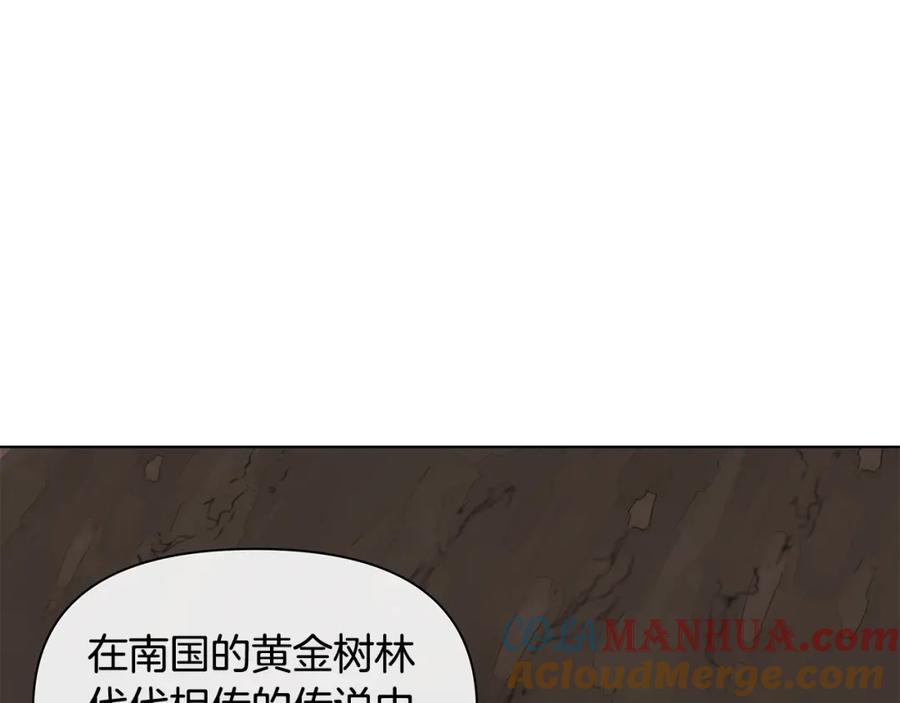 《黄金树林》第6话 信物 第157页
