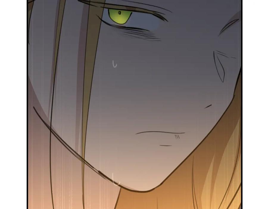 《黄金树林》第79话 骗局 第114页