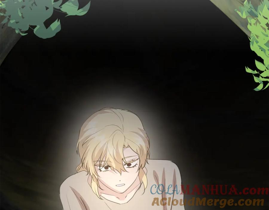 《黄金树林》第84话 我早该动手的 第41页
