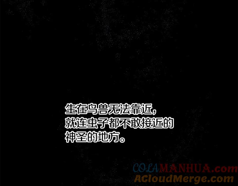 《黄金树林》第7话 黄金树林的传说 第41页