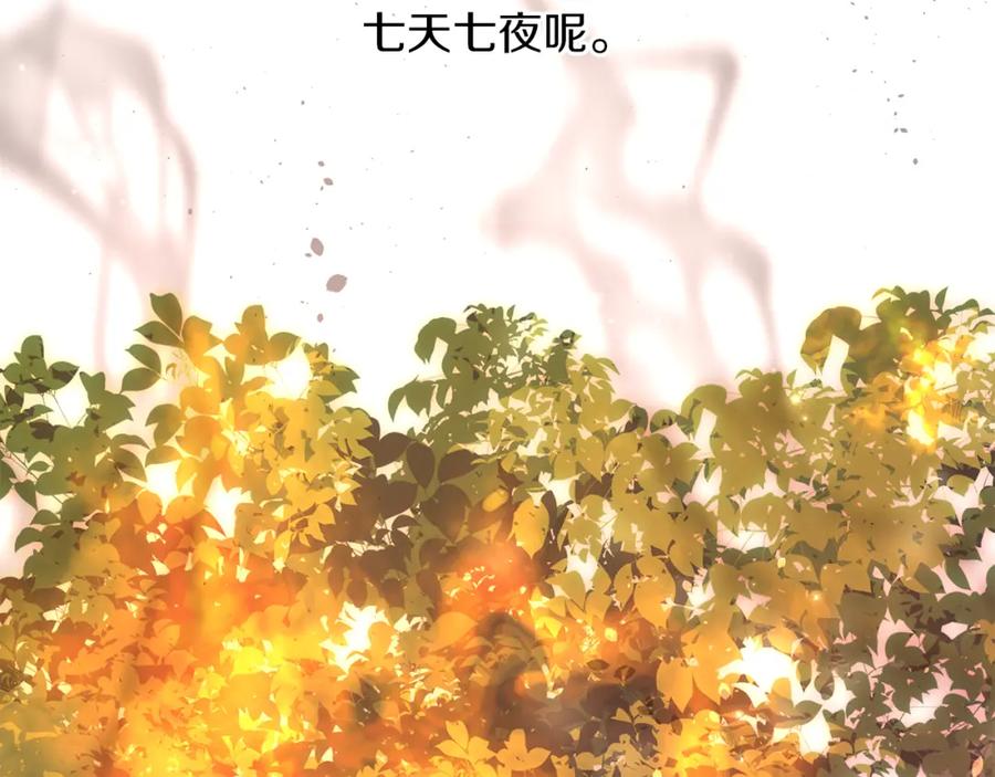《黄金树林》第89话 成婚 第80页