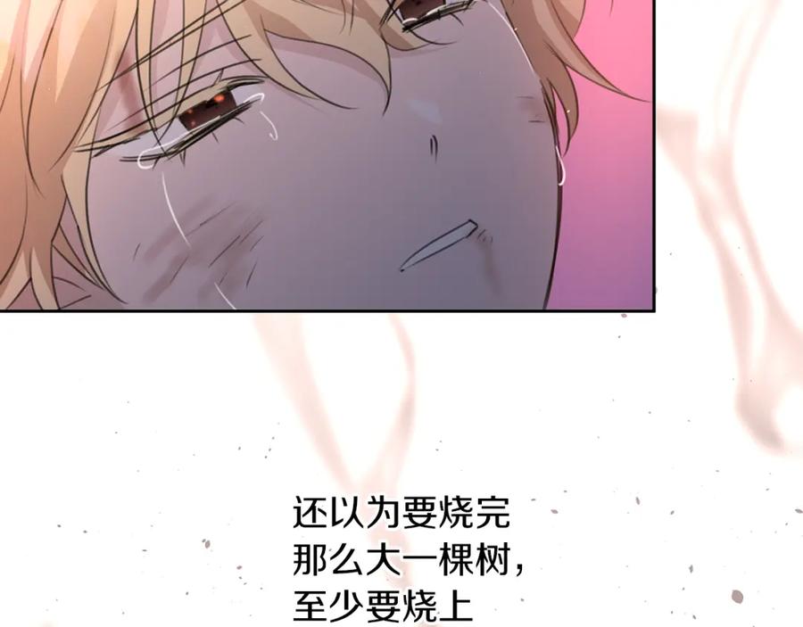 《黄金树林》第89话 成婚 第79页
