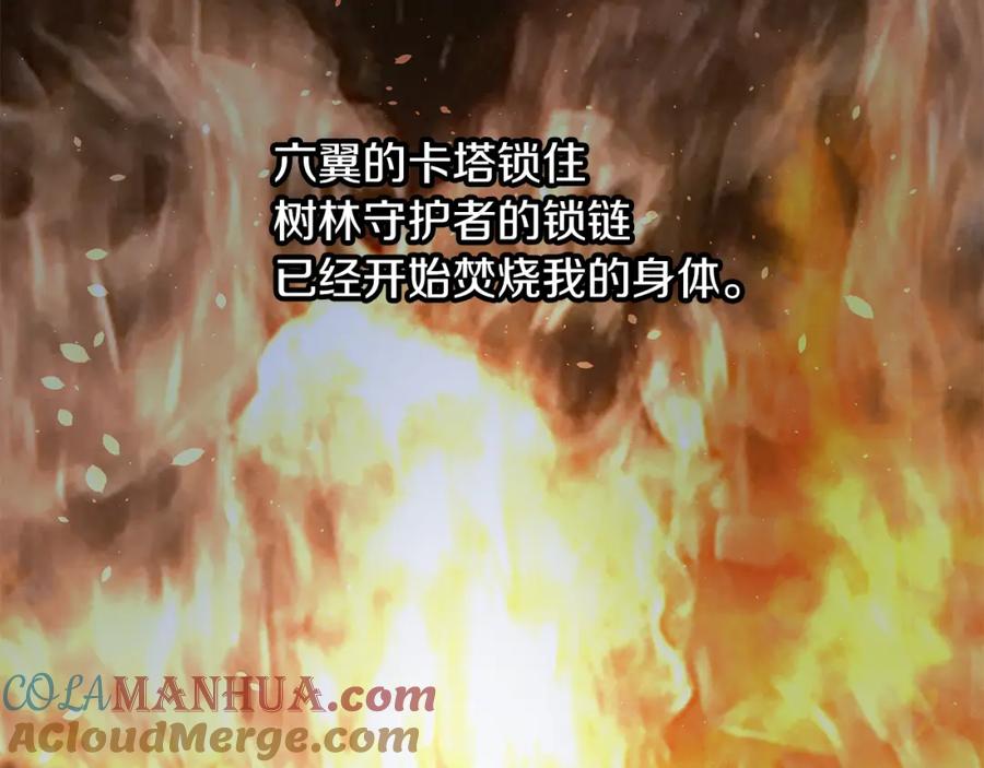 《黄金树林》第89话 成婚 第21页