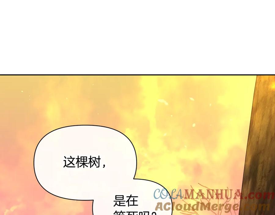 《黄金树林》第90话 生翼 第29页