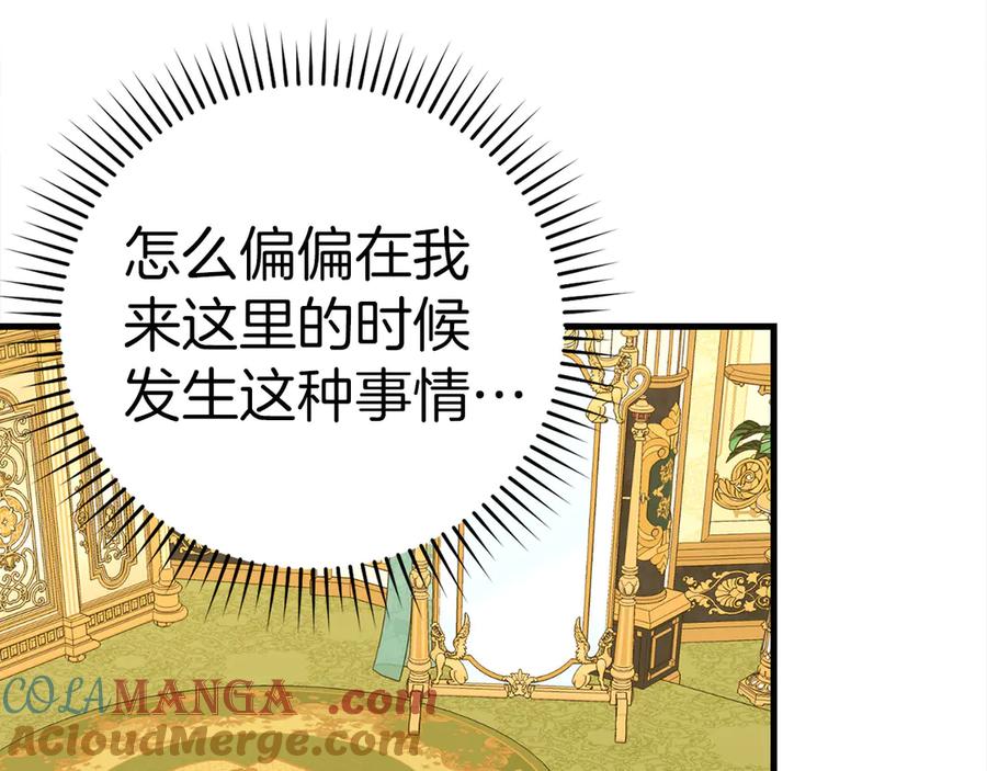 圣子是什么狗屁，这是现代医学的力量 - 第84话 皇室的耻辱 - 第49张图