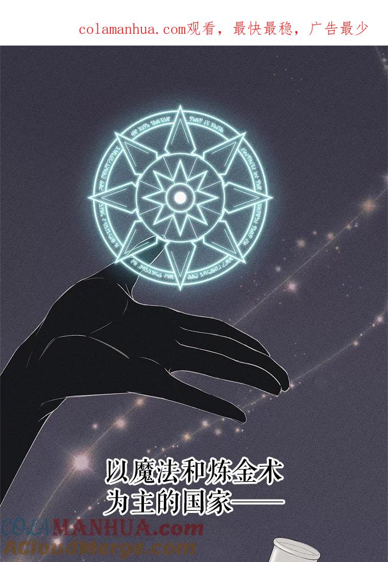 《皇女给叛徒刻上烙印》18.初入社交场 第1页