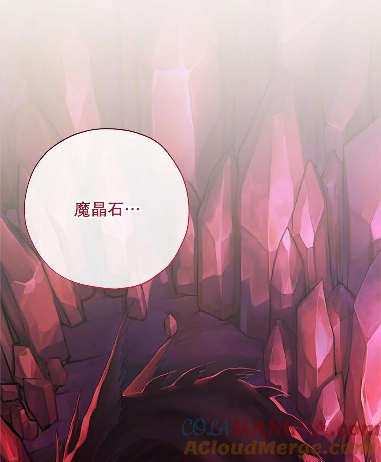 《皇女给叛徒刻上烙印》32.茶话会 第85页