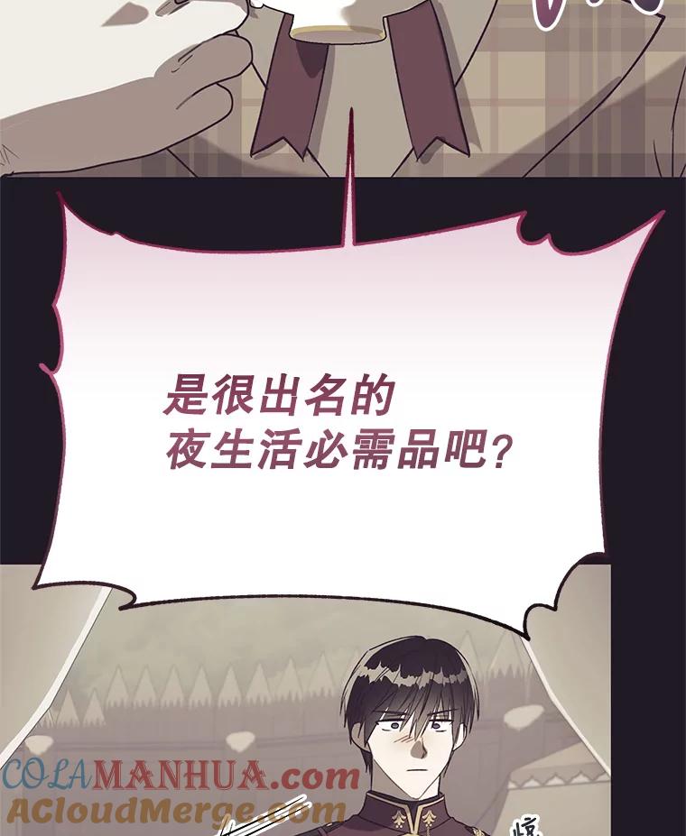 《皇女给叛徒刻上烙印》43.你有什么目的 第89页