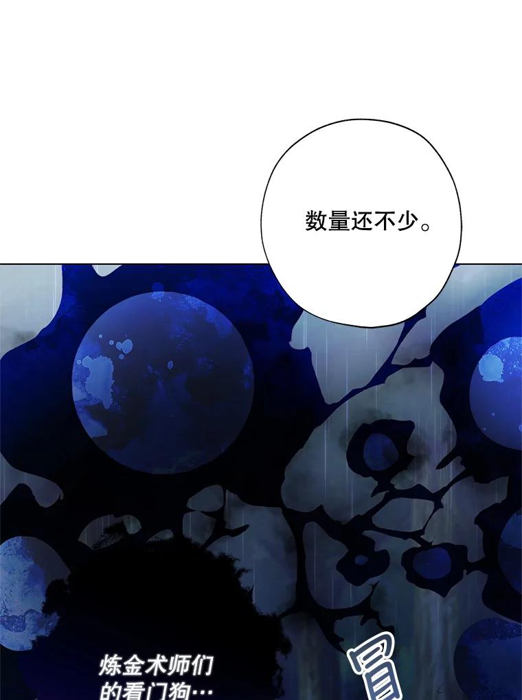 《皇女给叛徒刻上烙印》45.魔龙出现 第71页
