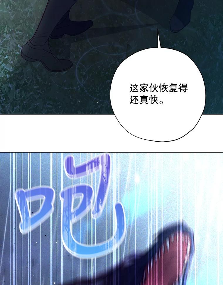 《皇女给叛徒刻上烙印》46.魔龙之战 第40页