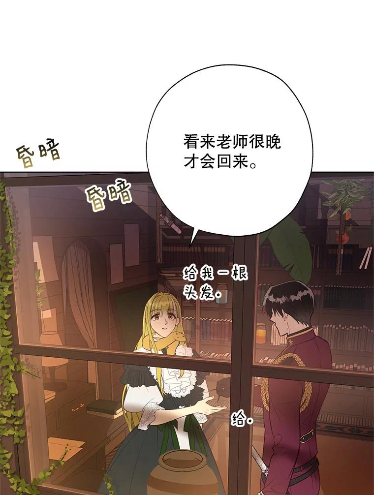 《皇女给叛徒刻上烙印》50.神秘的老师 第88页