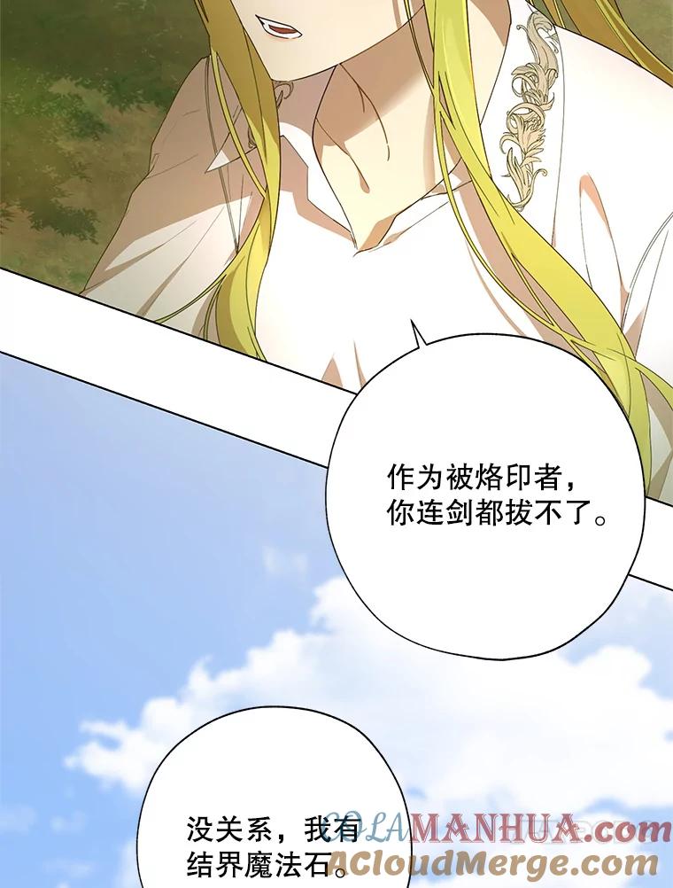 《皇女给叛徒刻上烙印》53.神秘魔法 第37页