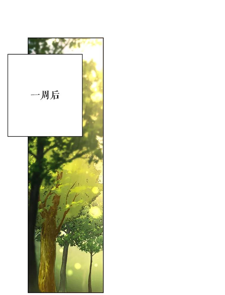 《皇女给叛徒刻上烙印》53.神秘魔法 第3页