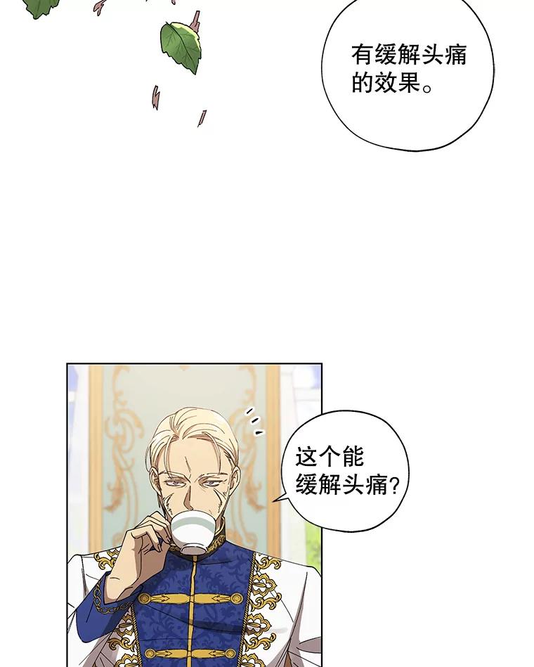 《皇女给叛徒刻上烙印》8.我要专属骑士 第17页
