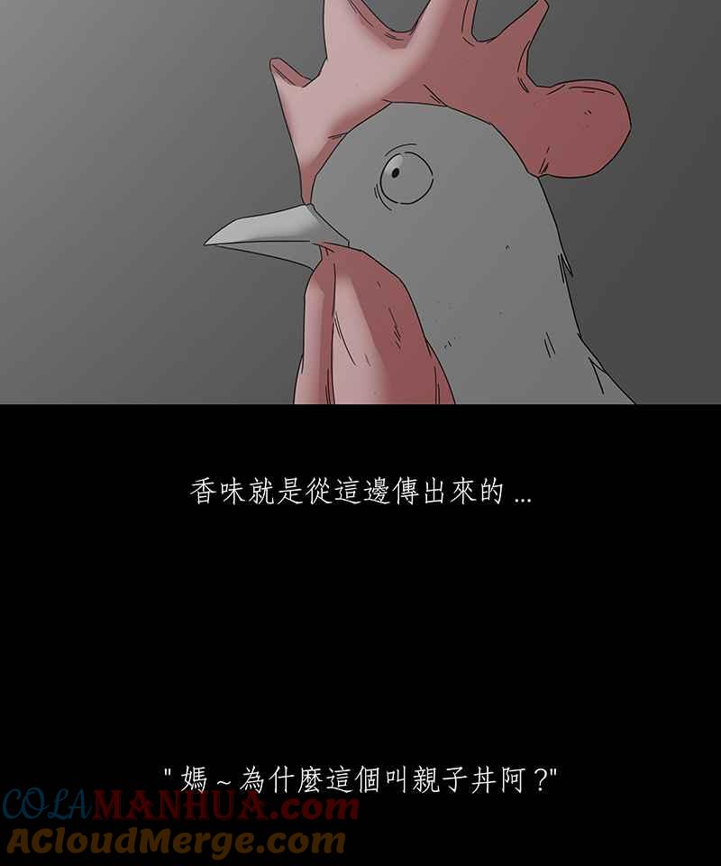 黑盒子 [第187话] 浪鸡天涯(3) 第5页