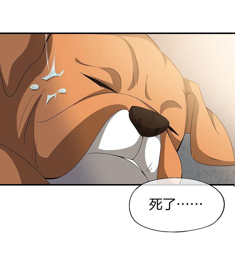 最强仙界朋友圈 第20话 天下太平黑无常！ 第14页
