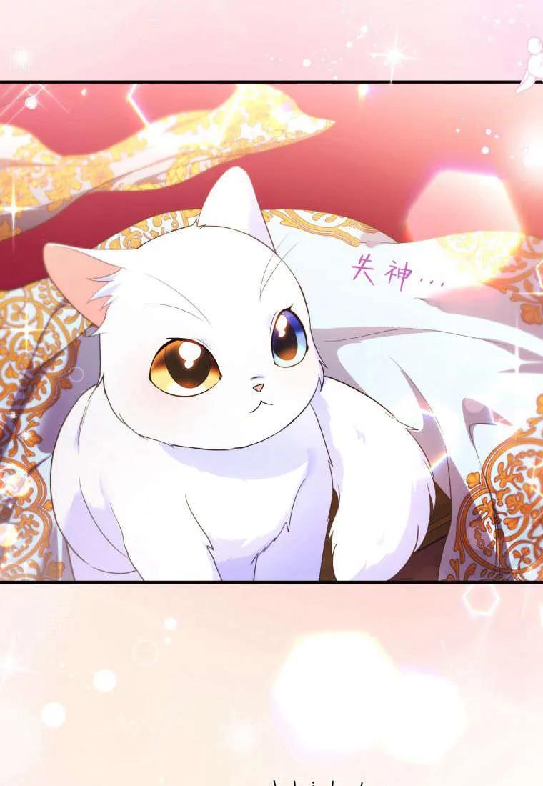 成为苏尔坦珍爱的猫咪 第54话 第84页